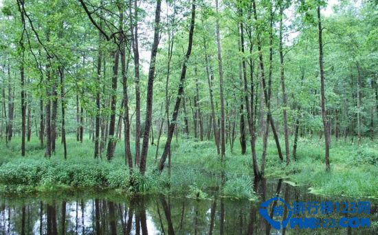 世界上罕为人知的十大遗产排行榜插图8