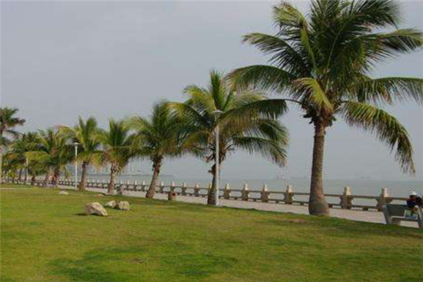 珠海十大免费景点：野狸岛上榜，第九被号称为“金三角”插图7