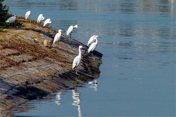 厦门八大约会圣地 你带女神去过哪几个呢插图2