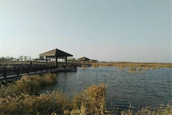 沧州十大风景名胜排名：十里金沙滩上榜，第二看杂技插图2