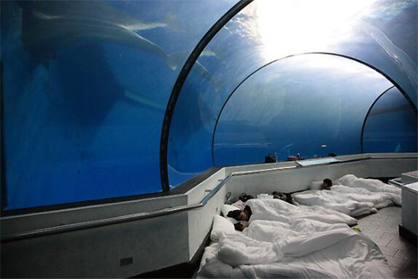 台湾十大亲子游必去景点 赶紧带上你的小宝贝一起去吧插图5