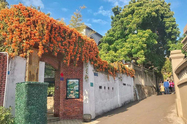 十大国内过年适合旅游的地方 罗平上榜 领略独特年味插图8