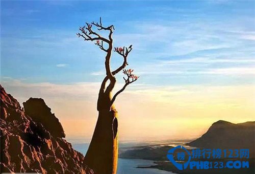 全球最古怪的14个地方排行榜插图8