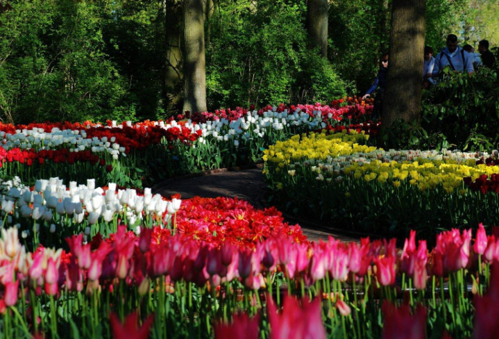 全球五大花园排行榜 美到令人惊叹，大自然的魅力插图