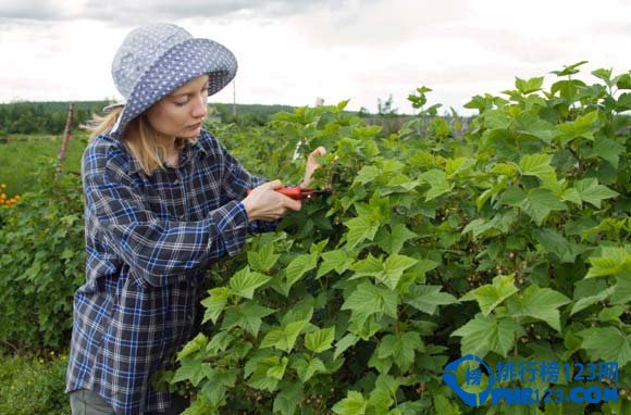全球十大免费旅游方式排行榜插图2