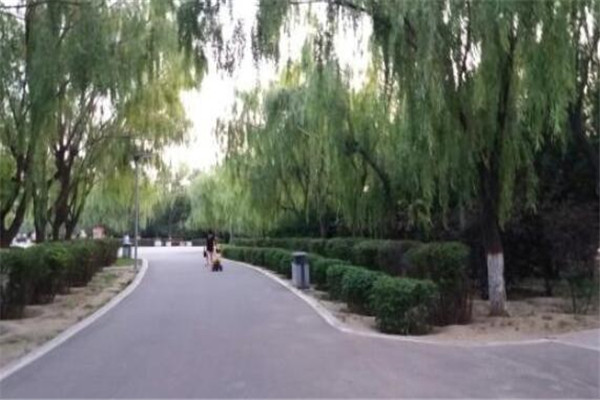 包头有什么好玩的地方？盘点包头好玩的地方排行榜插图8