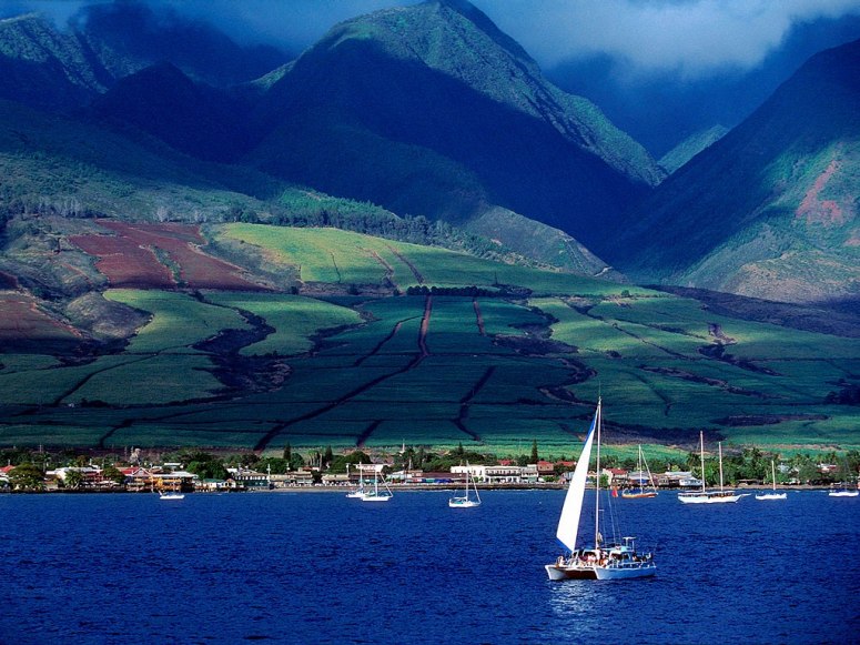 世界上最美的小岛排名插图5