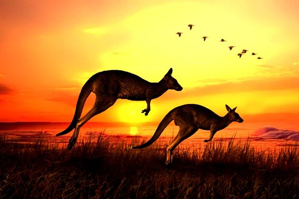 澳洲十大著名景点排行榜：爱尔斯岩排第四，第一全球最大插图7