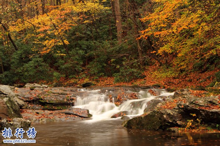 美国秋天最美的十大地区，秋叶最佳欣赏地推荐插图1