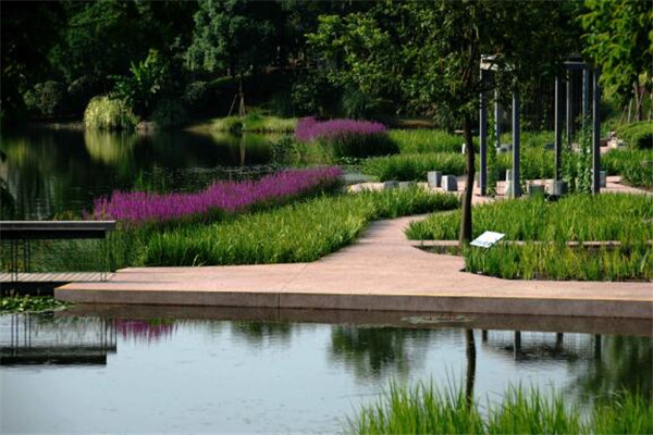 上海景色最美的地方 钟书阁必去，其它每一个都是美到爆插图9