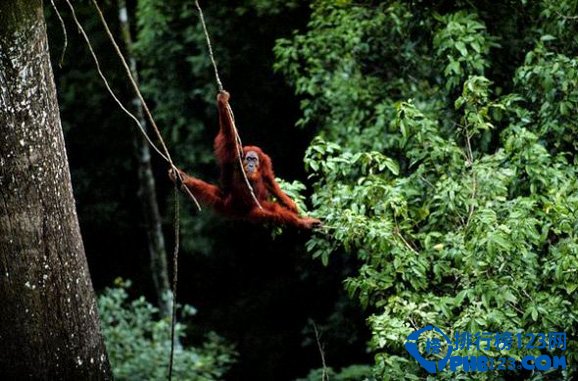世界上最珍贵的十大＂易碎＂美景排行榜插图