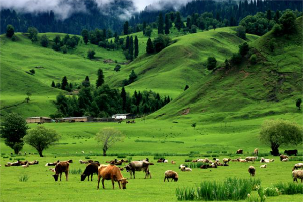 新疆最佳旅游景点排行榜：吐鲁番上榜，第五是高山草甸插图4