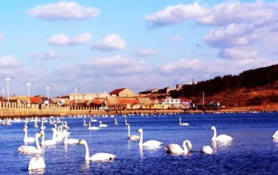 威海好玩的地方排行榜 龙须岛最美日出别错过插图2