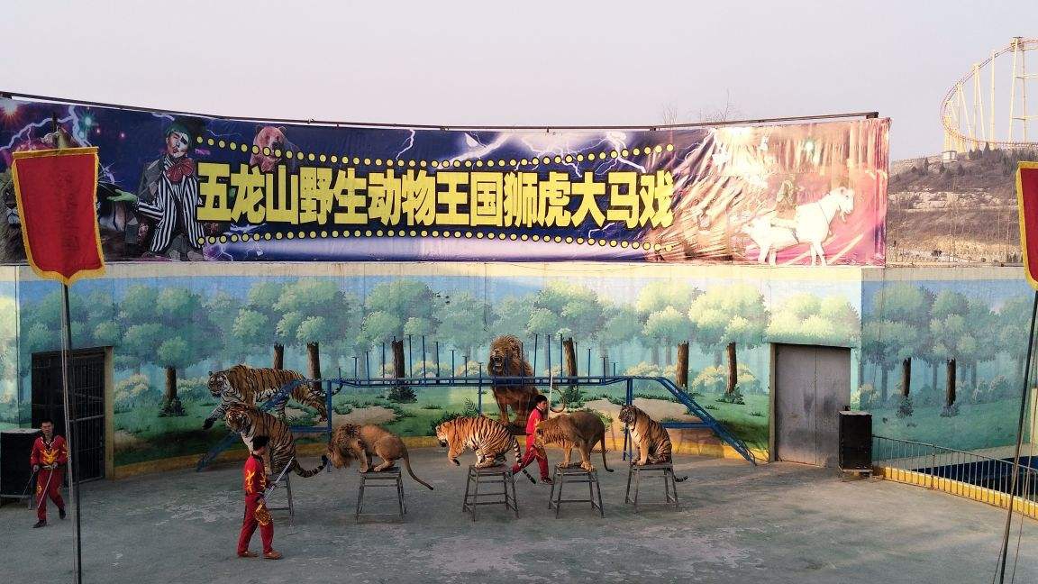 新乡情侣约会去哪里好？新乡情侣十大必去之地推荐插图2