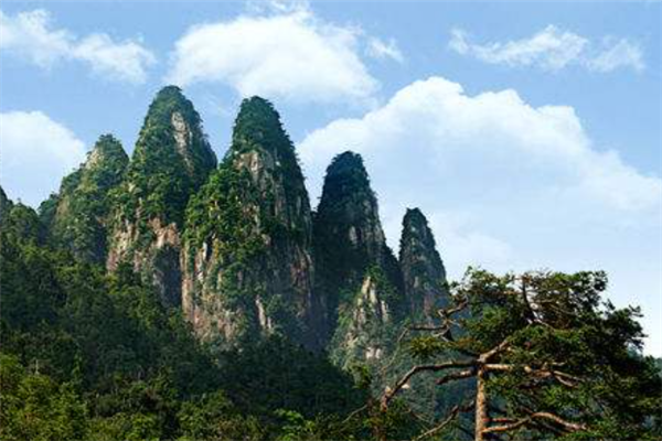 江西井冈山十大最好玩的景点：五龙潭上榜，第九是彩虹瀑布插图4