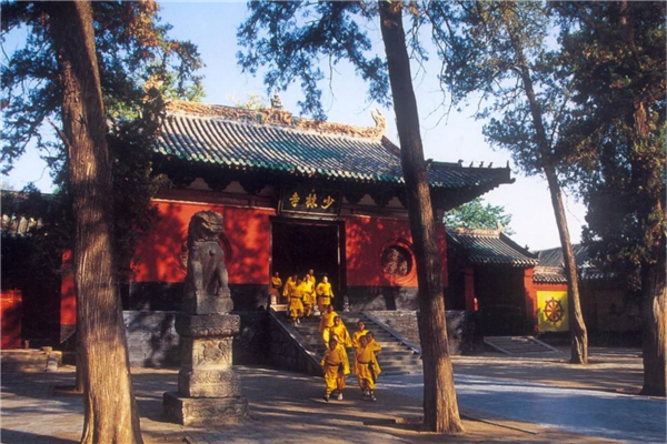 河南十大最好玩的景点 八里沟风光独特老君山文化底蕴深厚插图5