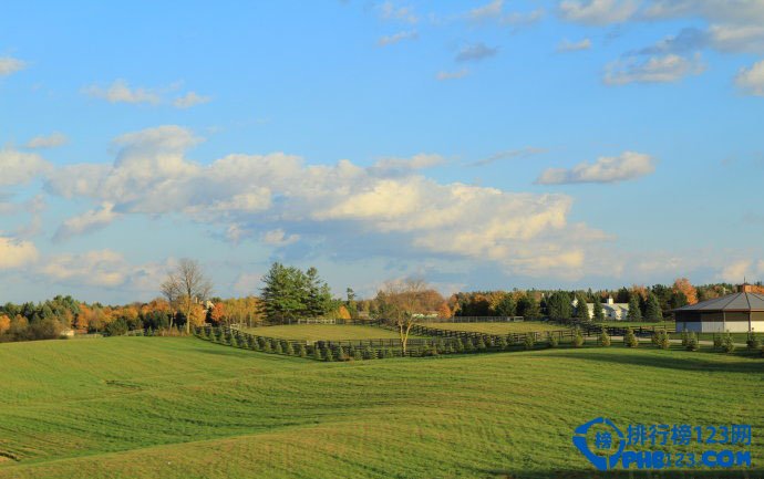 多伦多的Top10最美街道插图9