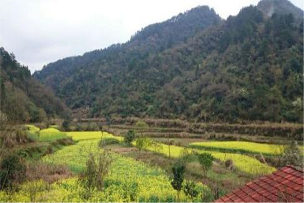 怀化最好玩的地方推荐 怀化好玩的地方排行榜插图5