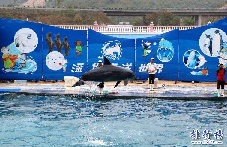 深圳有什么好玩的地方?深圳旅游必去十大景点排名插图5