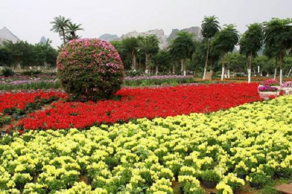 南宁十大最美景点：民歌湖第四，第九“地下宫殿”插图6