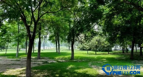 细数北京森林公园TOP10！看看你来过几个！插图6