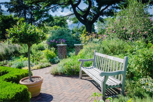 世界十大植物博物馆：纽约植物园上榜，它珍藏植物标本最多插图4