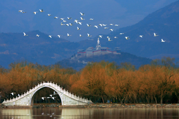 北京十大冬季旅游好去处，八达岭长城人尽皆知故宫榜首插图7