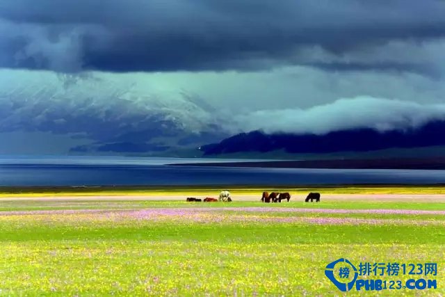 新疆最美地方排行插图1