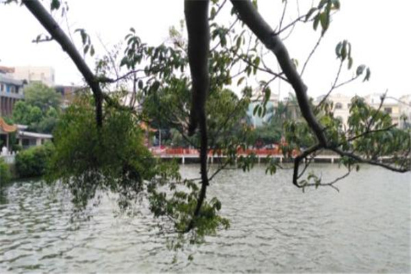 湛江十大公园广场排名：渔港公园上榜，第7建园最久插图4