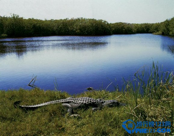 世界上最珍贵的十大＂易碎＂美景排行榜插图5