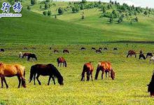 10月份国内最佳旅游地，国庆去哪玩比较好|爱分享