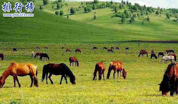10月份国内最佳旅游地，国庆去哪玩比较好插图