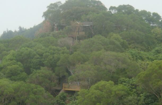 厦门旅游必去十大景点 鼓浪屿方特梦幻王国备受游客青睐插图9