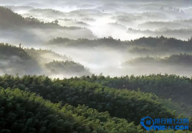 国内十大天然氧排行榜插图1