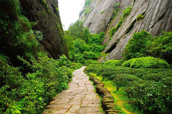 南平旅游必去十大景点 青龙瀑布、大红袍、武夷山上榜插图5