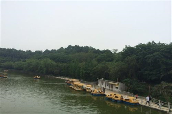 云浮十大公园广场排名：百合广场上榜，第四新开不久插图8