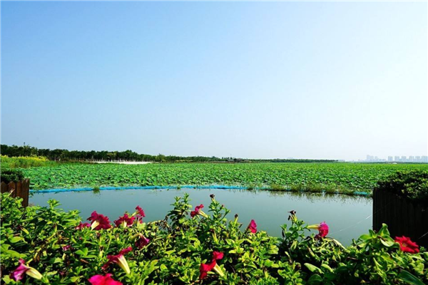 天津适合一日游的景点推荐 北塘古镇 西开教堂不能错过插图8
