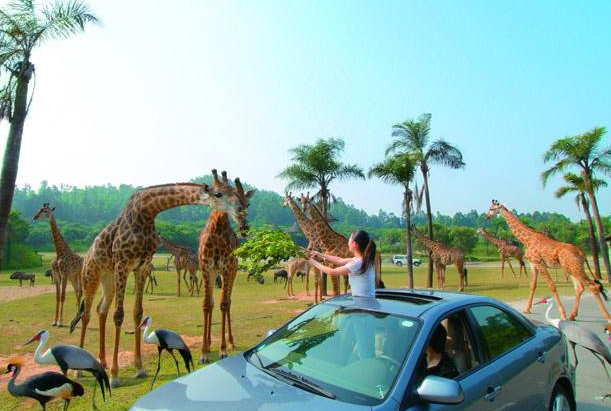 广州抖音网红景点排行榜 抖音热门景点你都去过吗插图9