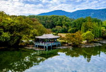 南京十大冬季旅游好去处,梅花山强势上榜，栖霞山仅排第十|爱分享