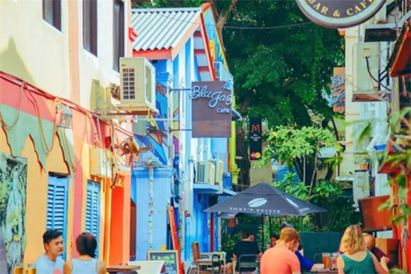 新加坡十大景点：哈芝巷上榜，第五适合情侣去游玩插图6