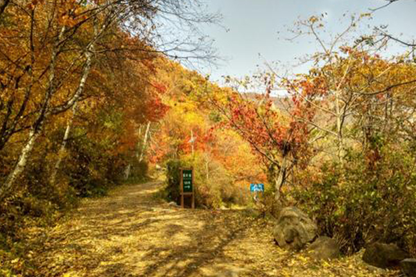 北京十大人少好玩的景点：香山公园上榜，夏季避暑好去处插图8
