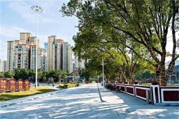 珠海十大公园广场排名:尖峰山公园第9，第10夜晚热闹插图6