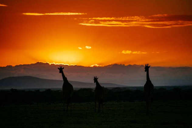 世界十大最美日落地 如同油画一般的画面，美到窒息插图6