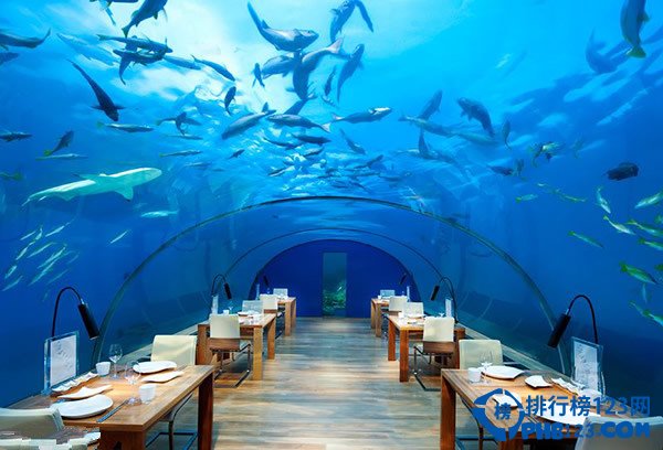 盘点马尔代夫旅游十大浪漫玩法插图7