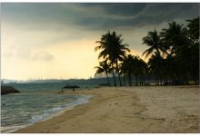 汕头十大公园广场排名：儿童公园第6，第10面朝大海|爱分享