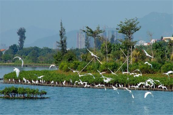 厦门白天约会圣地 你都带她去过几个插图1