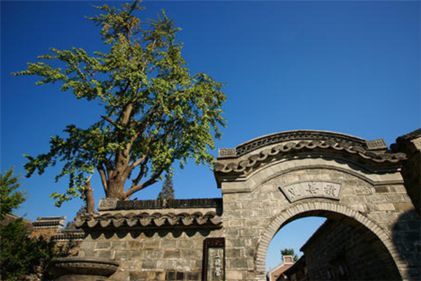 南京十大最值得去的景点：老门东上榜，第十有古银杏树插图1