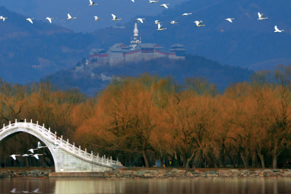 中国十大最美景点，武陵源进入前三 颐和园是古人智慧结晶插图