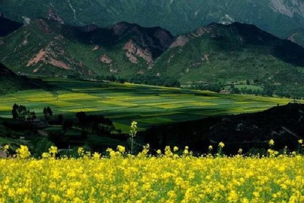 青海最好玩的十大景点：塔尔寺上榜，第九藏文化为主题插图7