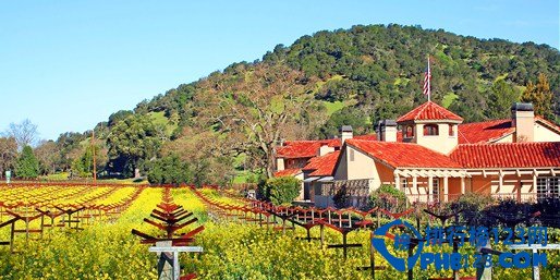 澳洲最佳度假胜地TOP10插图4